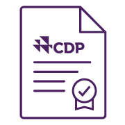 Ícone de Treinamento de envolvimento do fornecedor do CDP