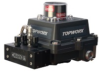 TopWorx™ D-ESD