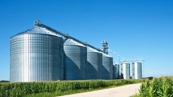 Level Measurement in Grain Silos for Brewing and Distilling