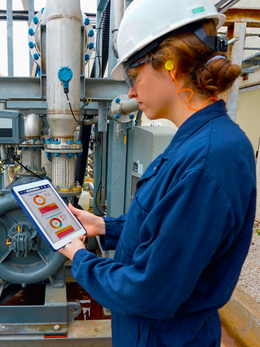 Online Condition Monitoring Solutions for Mechanical Assets | Emerson NL